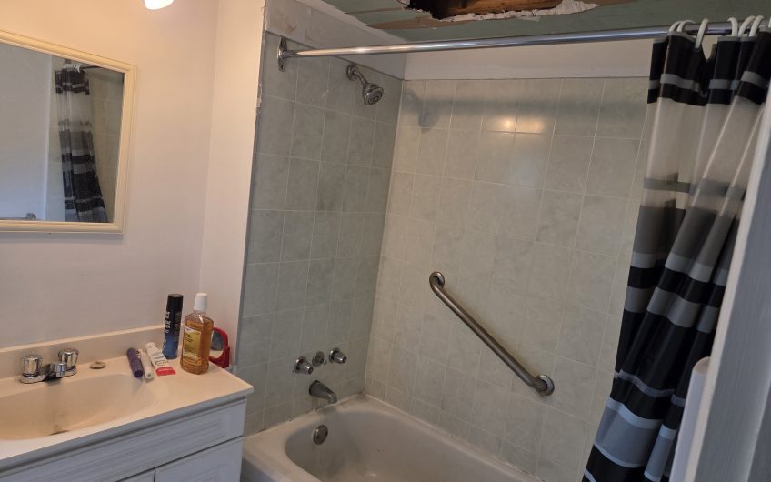 Duplex Ste Agathe
