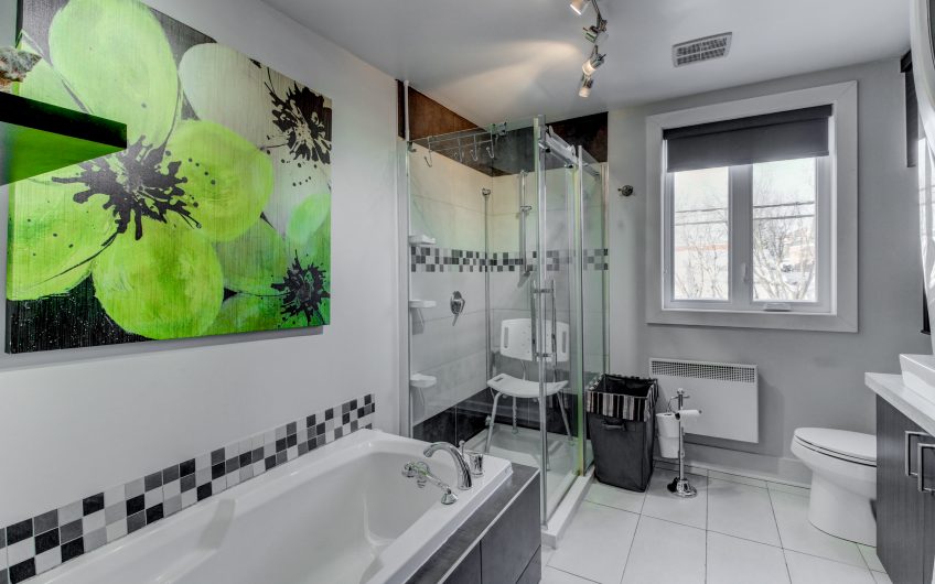 DUPLEX  A  ST JÉROME
